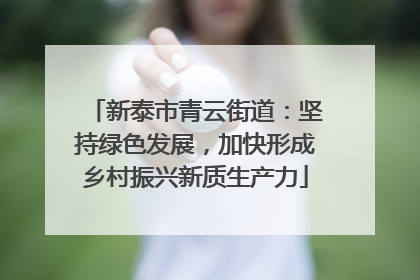 新泰市青云街道：坚持绿色发展，加快形成乡村振兴新质生产力