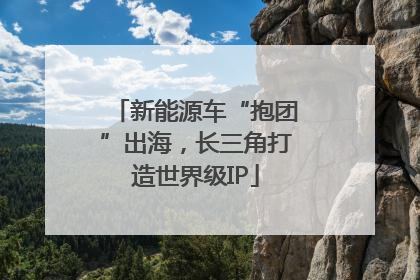 新能源车“抱团”出海，长三角打造世界级IP