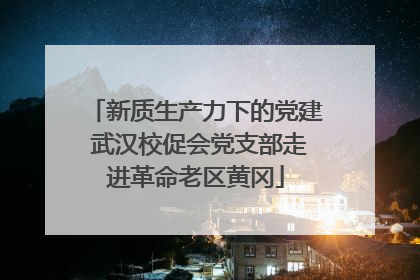 新质生产力下的党建 武汉校促会党支部走进革命老区黄冈