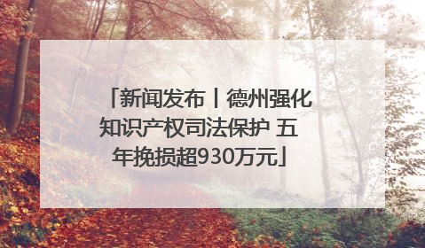 新闻发布丨德州强化知识产权司法保护 五年挽损超930万元