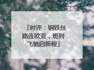 时评：钢铁丝路连欧亚，班列飞驰启新程