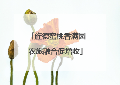 旌德蜜桃香满园 农旅融合促增收