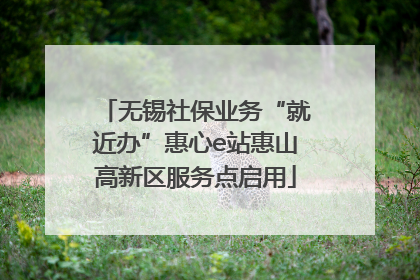 无锡社保业务“就近办”惠心e站惠山高新区服务点启用