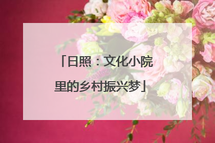 日照：文化小院里的乡村振兴梦