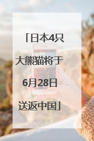 日本4只大熊猫将于6月28日送返中国