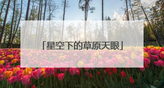 星空下的草原天眼
