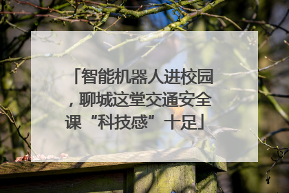 智能机器人进校园，聊城这堂交通安全课“科技感”十足