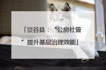 景谷县：“公房社管”提升基层治理效能