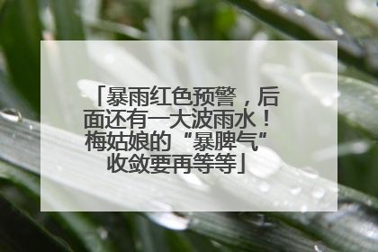 暴雨红色预警，后面还有一大波雨水！梅姑娘的“暴脾气”收敛要再等等