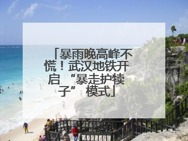 暴雨晚高峰不慌！武汉地铁开启 “暴走护犊子” 模式