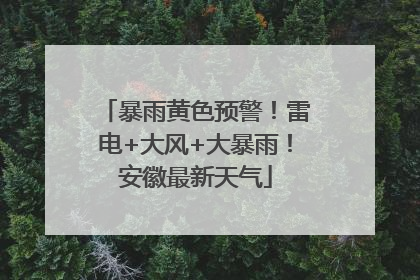 暴雨黄色预警！雷电+大风+大暴雨！安徽最新天气
