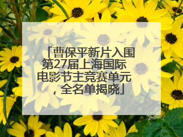 曹保平新片入围第27届上海国际电影节主竞赛单元，全名单揭晓