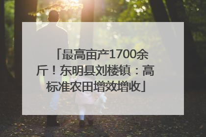 最高亩产1700余斤！东明县刘楼镇：高标准农田增效增收