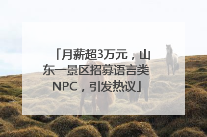 月薪超3万元，山东一景区招募语言类NPC，引发热议
