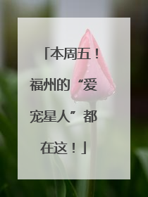 本周五！福州的“爱宠星人”都在这！