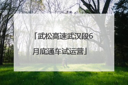 武松高速武汉段6月底通车试运营