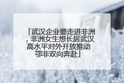 武汉企业要走进非洲，非洲女生想长居武汉 高水平对外开放推动鄂非双向奔赴