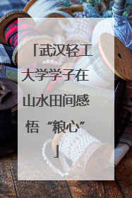 武汉轻工大学学子在山水田间感悟“粮心”