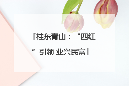桂东青山：“四红”引领 业兴民富