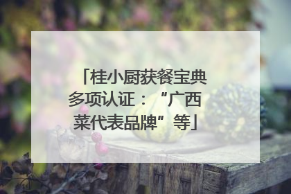 桂小厨获餐宝典多项认证：“广西菜代表品牌”等