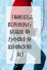 桐柏县法院善意执行显温度 助力小微企业追回拖欠租金