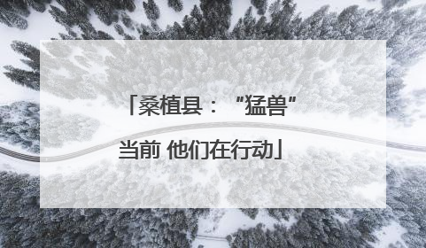 桑植县：“猛兽”当前 他们在行动