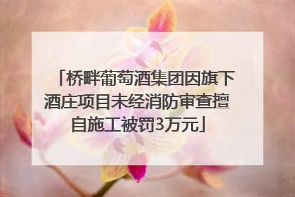 桥畔葡萄酒集团因旗下酒庄项目未经消防审查擅自施工被罚3万元