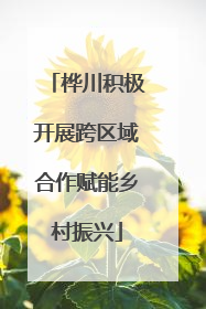 桦川积极开展跨区域合作赋能乡村振兴