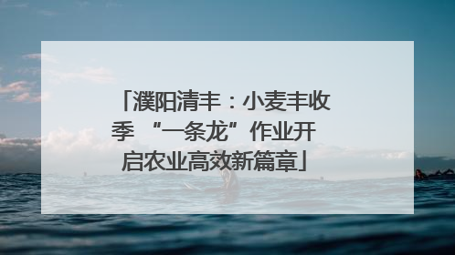 濮阳清丰：小麦丰收季 “一条龙”作业开启农业高效新篇章