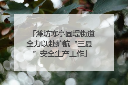 潍坊寒亭固堤街道全力以赴护航“三夏”安全生产工作