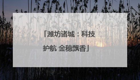 潍坊诸城：科技护航 金穗飘香