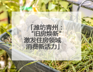 潍坊青州：“旧房焕新”激发住房领域消费新活力