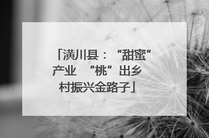 潢川县：“甜蜜”产业  “桃”出乡村振兴金路子