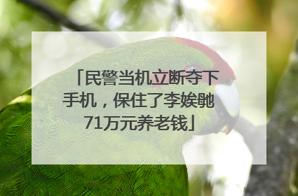 民警当机立断夺下手机，保住了李娭毑71万元养老钱