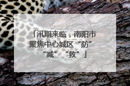 汛期来临，南阳市聚焦中心城区“防”“减”“救”