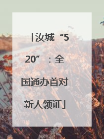 汝城“520”：全国通办首对新人领证