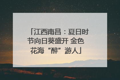 江西南昌：夏日时节向日葵盛开 金色花海“醉”游人