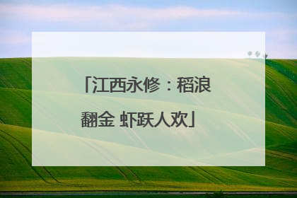 江西永修：稻浪翻金 虾跃人欢