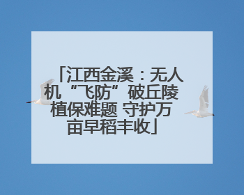 江西金溪：无人机“飞防”破丘陵植保难题 守护万亩早稻丰收