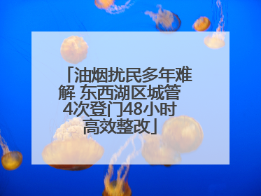 油烟扰民多年难解 东西湖区城管4次登门48小时高效整改