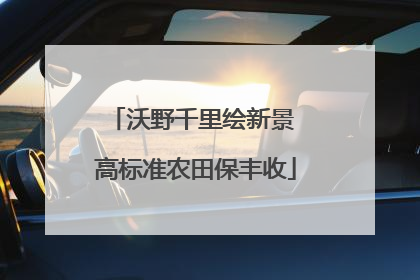 沃野千里绘新景 高标准农田保丰收