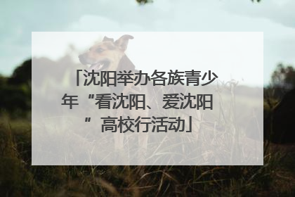 沈阳举办各族青少年“看沈阳、爱沈阳”高校行活动