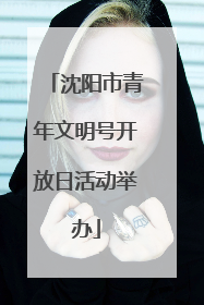 沈阳市青年文明号开放日活动举办