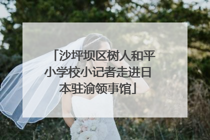 沙坪坝区树人和平小学校小记者走进日本驻渝领事馆