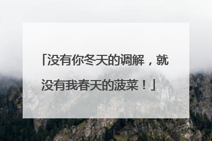 没有你冬天的调解，就没有我春天的菠菜！