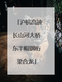 沪杭高速长山河大桥东半幅钢桁梁合龙