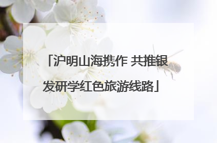 沪明山海携作 共推银发研学红色旅游线路