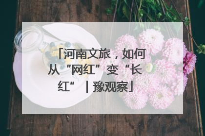 河南文旅，如何从“网红”变“长红”｜豫观察