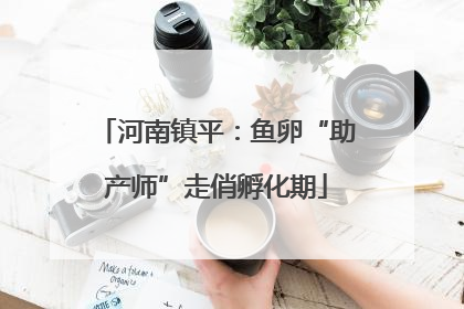 河南镇平：鱼卵“助产师”走俏孵化期