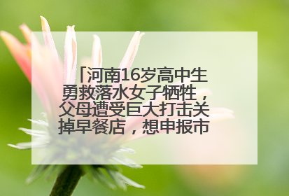 河南16岁高中生勇救落水女子牺牲，父母遭受巨大打击关掉早餐店，想申报市级见义勇为